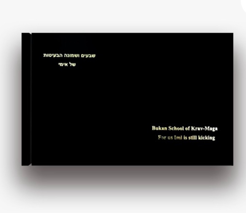Os 78 chutes do Krav-Maga do Imi